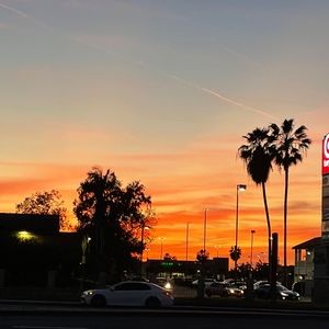 Meet your Posher, 피터